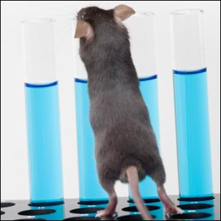 ��ѧ���ҵ���С��غ���л�ó����ϸ�����·���